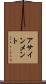 アサインメント Scroll