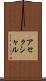 アセクシャル Scroll