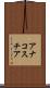 アナコスチア Scroll
