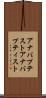 アナバプテスト Scroll