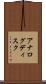 アナログディスク Scroll