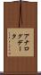 アナログデータ Scroll
