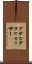 アナログ・プロセッサー Scroll