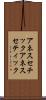 アネスセチック Scroll