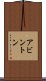 アビントン Scroll
