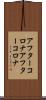 アフターコロナ Scroll