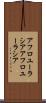 アフロユーラシア Scroll