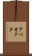アベオクタ Scroll