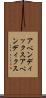 アペンディックス Scroll