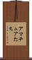 アマチュアたち Scroll