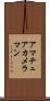 アマチュア・カメラマン Scroll