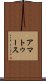 アマトゥース Scroll