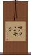 アマミキョ Scroll