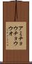 アミチョウチョウウオ Scroll