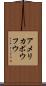 アメリカボウフウ Scroll