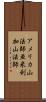 アメリカ山法師 Scroll
