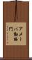 アメーバ動物門 Scroll