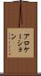 アロケーション Scroll