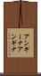 アンギーナ Scroll