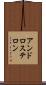 アンドロステロン Scroll