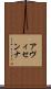 アヴィセンナ Scroll