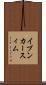イブンカースィム Scroll