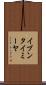 イブンタイミーヤ Scroll