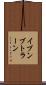 イブンブトラーン Scroll