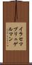 イラセマブリュゲルマン Scroll