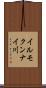 イルモクンナイ川 Scroll