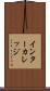 インターカレッジ Scroll