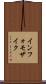 インフォモザイク Scroll