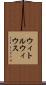 ウィトルウィウス Scroll