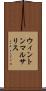 ウィントンマルサリス Scroll
