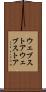 ウェブストア Scroll