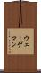 ウェーゲマン Scroll