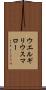 ウエルギリウスマロー Scroll