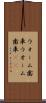ウォーム歯車 Scroll