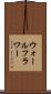 ウォールフラワー Scroll