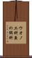 ウオノエ科 Scroll