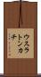 ウスラトンカチ Scroll