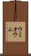 ウミオウム Scroll