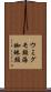 ウミグモ類 Scroll