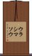 ウラシマソウ Scroll