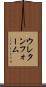 ウレタンフォーム Scroll