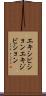 エキシビション Scroll
