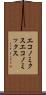 エコノミクス Scroll