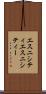 エスニシティ Scroll