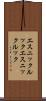 エスニックルック Scroll