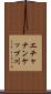 エチャナンケップ川 Scroll